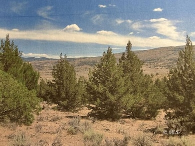 0 Tuledad Canyon unit 2906696, Termo, CA 96132 - photo 5