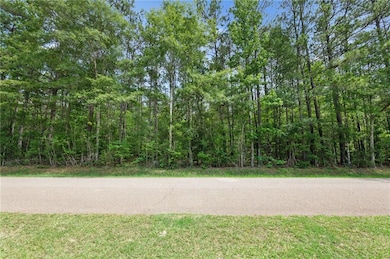 Parcel 1 7 01 Acres Bruhl Rd, Folsom, LA 70437 - photo 3