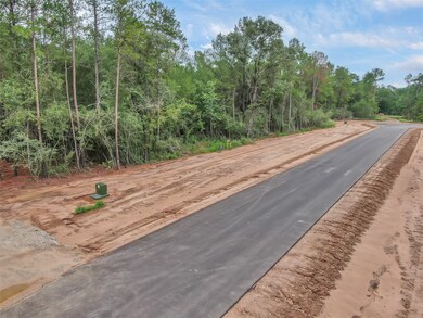 19853 Whispering Creek Trail, Magnolia, TX 77355 - photo 5