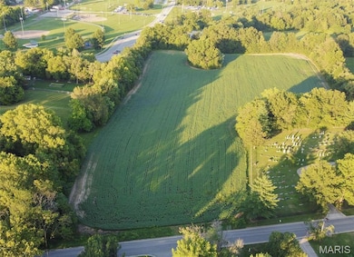 0 S 3rd St unit MAR23052580, Troy, MO 63379 - photo 2