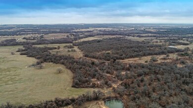 TBD Erwin @ Zion Hill Rd, Poolville, TX 76487 - photo 5