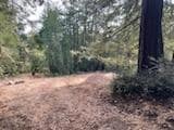 12 Montecito Rd, Woodside, CA 94062 - photo 7