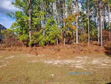 Resized_2 (008)