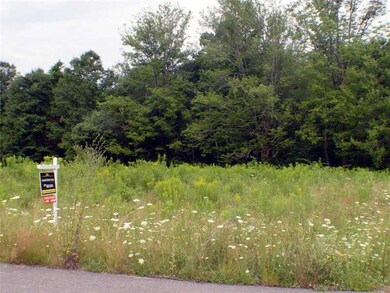 Land/Lot. Bordered By Mature Trees