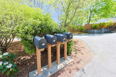 50 Heywood St unit 50, Worcester, MA 01604 - photo 5