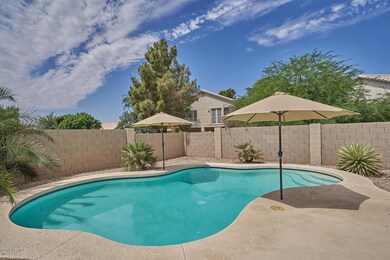 Pool (1)