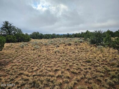 4127 N Windy Walk_Meadow