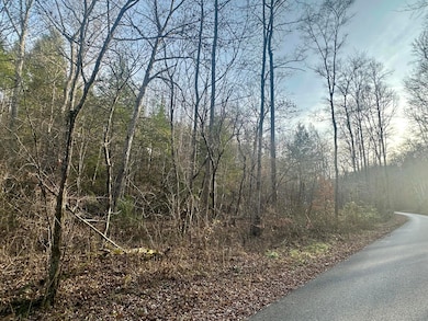 Lot 1 Radford Rd, East Bernstadt, KY 40729 - photo 3