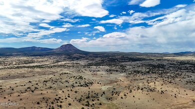 0 W True Grit Trail Lot A -- unit 6880737, Ash Fork, AZ 86320 - photo 7