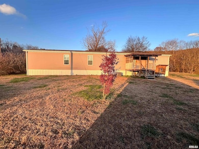 860 N Lick Creek Rd, Buncombe, IL 62912 - photo 3