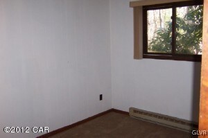 117 Piney Woods Dr, Jim Thorpe, PA 18229 - photo 5