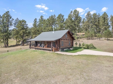 11824 Diamond Rd, Custer, SD 57730 - photo 5