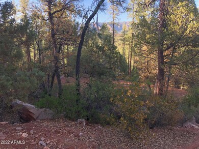 590 W Elusive Dr unit 11, Payson, AZ 85541 - photo 3