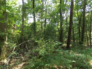 20719 New Kentucky Village, Hockley, TX 77447 - photo 2