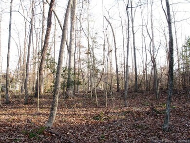 Spacious View of back yard !