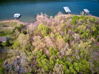 2_DJI_0092__sRGB-Kings River A - LoRes