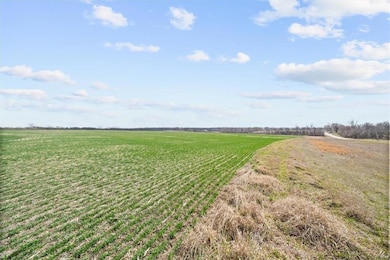 0 183rd & Renner St unit HMS2537239, Spring Hill, KS 66062 - photo 5