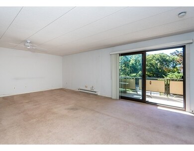 53 Angleside Rd unit 3, Waltham, MA 02453 - photo 7