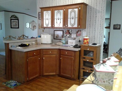 4114 Dowling Rd, Middleburg, FL 32068 - photo 7