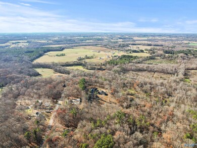343 Mccutcheon Ln, Toney, AL 35773 - photo 2