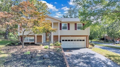 5107 N Spring Dr NW, Roanoke, VA 24019 - photo 5