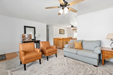 245 S Main St, Mona, UT 84645 - photo 5