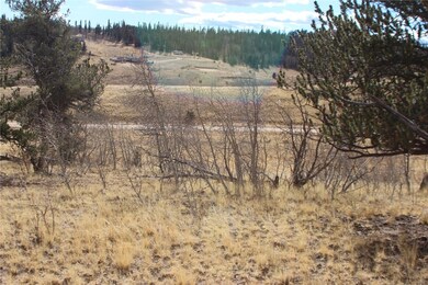 216 Musket Ln, Como, CO 80432 - photo 4