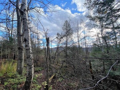 - Paquin, Colebrook, NH 03576 - photo 2