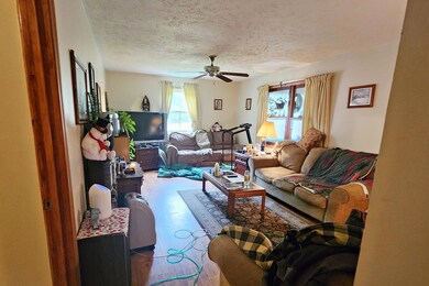 9129 N Woodbridge Ave, Bitely, MI 49309 - photo 6