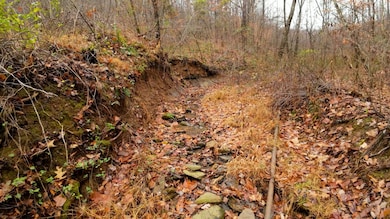 0 Moss Run Rd unit 11610651, Marietta, OH 45750 - photo 7