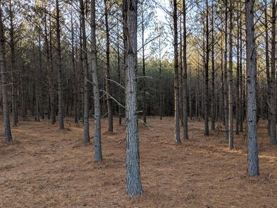 2575 River Bluffs Dr, Jasper, TN 37347 - photo 6