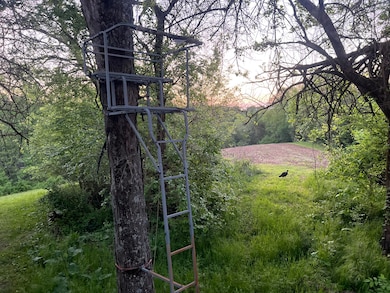 4045 S Mohawk Rd, Mohawk, TN 37810 - photo 5