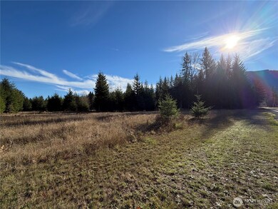 138 Shelton Rd, Randle, WA 98377 - photo 3