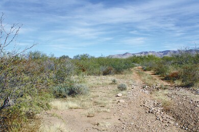10 Acres E Roadrunner Lot E Ln unit D, Pearce, AZ 85625 - photo 6