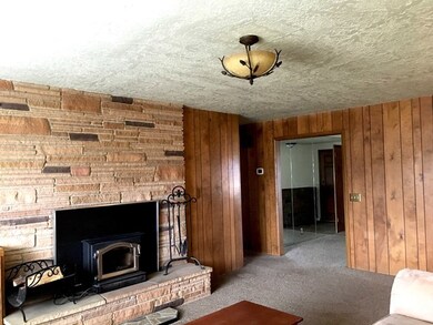 Stove Fireplace with Insert