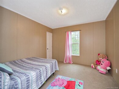 118 Peaceful Valley Dr, Leicester, NC 28748 - photo 7