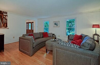 7301 Pinecastle Rd, Falls Church, VA 22043 - photo 6