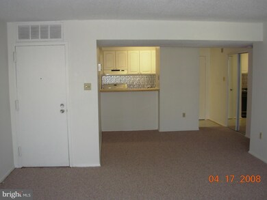 2619 Redcoat Dr unit 229, Alexandria, VA 22303 - photo 4