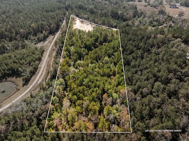 00 Springhill School Rd, Collins, MS 39428 - photo 3