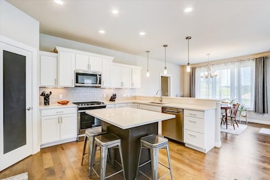 6259 Summit View Dr, Madison, WI 53719 - photo 5