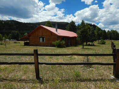 19 Fir Dr, South Fork, CO 81154 - photo 5