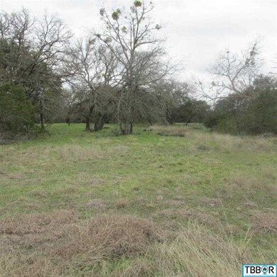 143 Deer Run, Moody, TX 76557 - photo 2