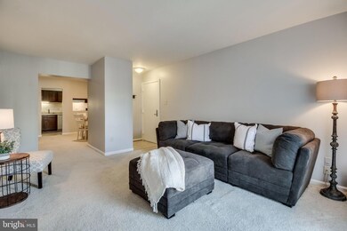 6151 Edsall Rd unit B, Alexandria, VA 22304 - photo 4