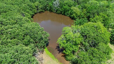 back pond south side