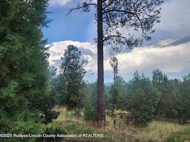 Lot 2A Snow Park Rd, Alto, NM 88312 - photo 2