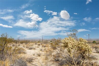 4 Mount Lassen Ave, Joshua Tree, CA 92252 - photo 6