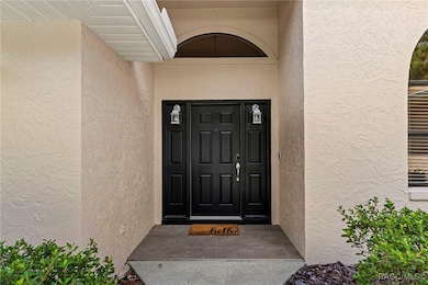 Electronic Lock for peace of mind entry