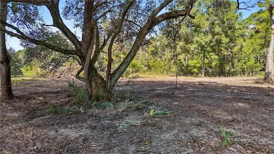 B-1 Bennett Rd, Holden, LA 70744 - photo 6