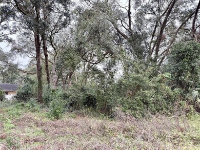 0 Hilda Rd unit MFRTB8334007, Ridge Manor, FL 33523 - photo 6