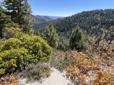 SH Lot 81 & 82 Mountain View